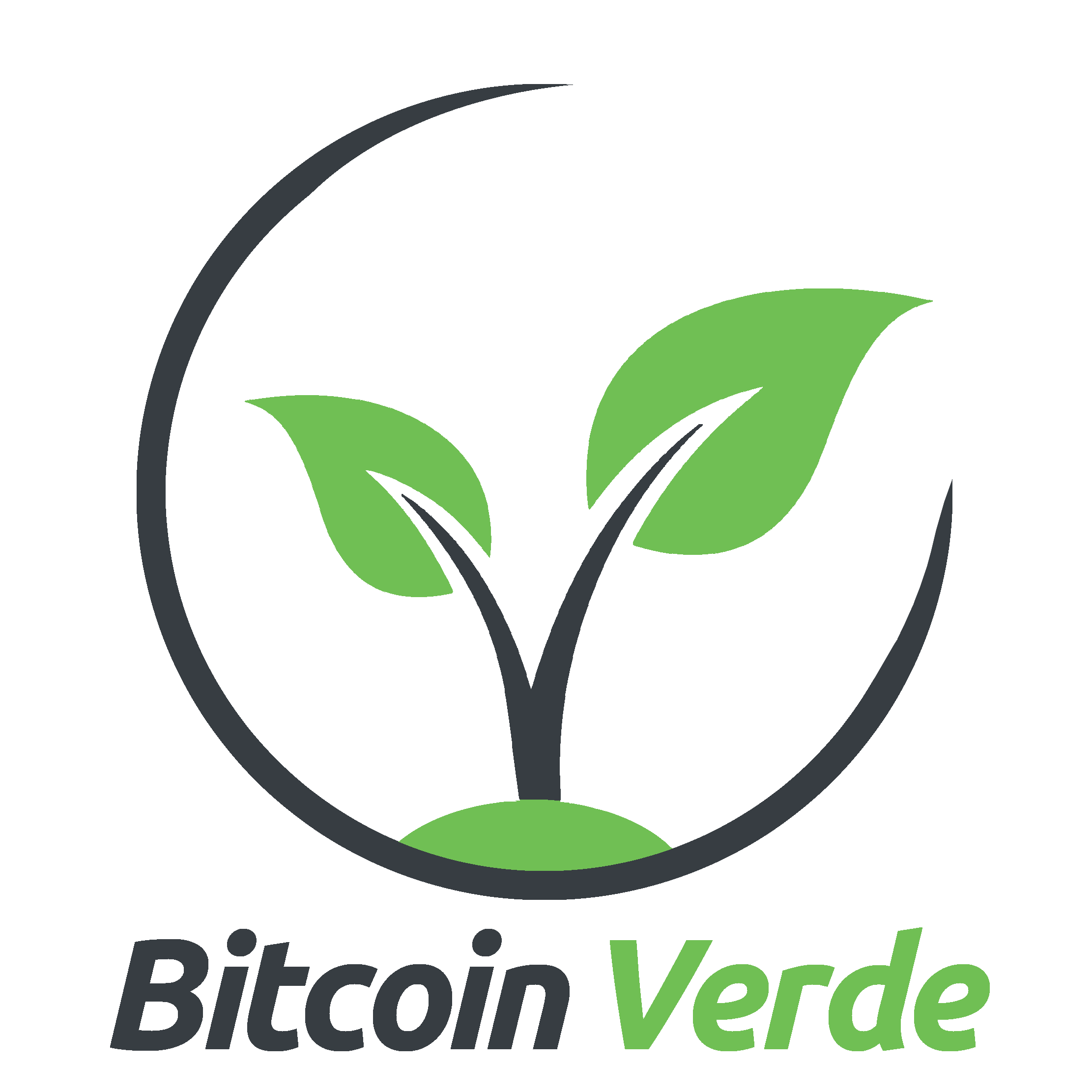Bitcoin Verde